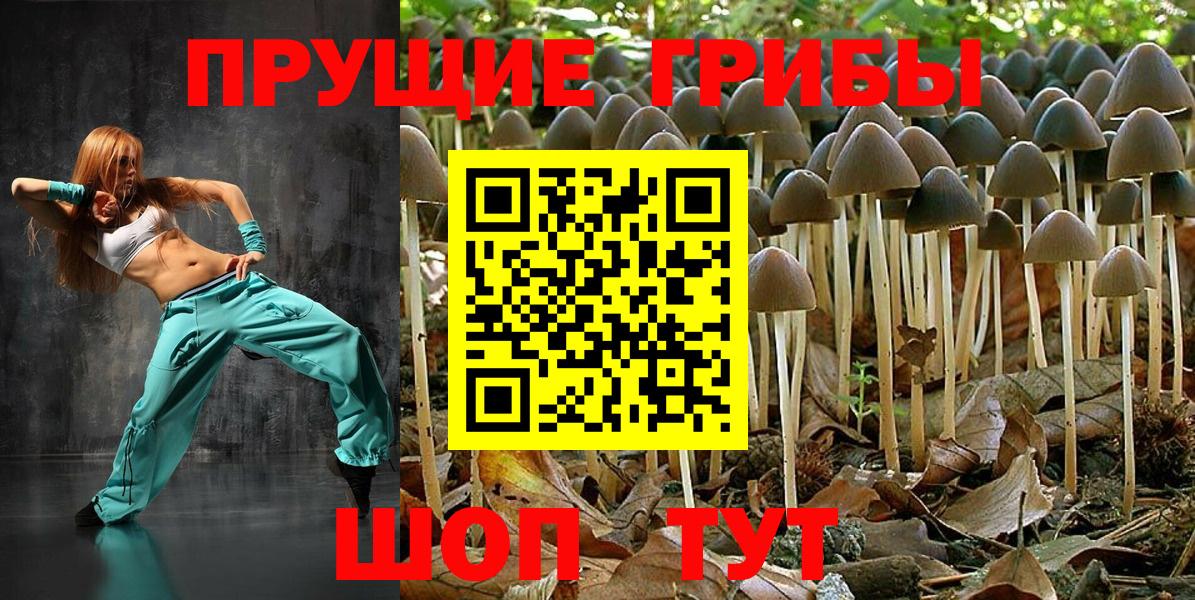 Еманжелинск  Псилоцибиновые грибы Cubensis  Галлюциногенные грибы прущие грибы  Вход с VPN 